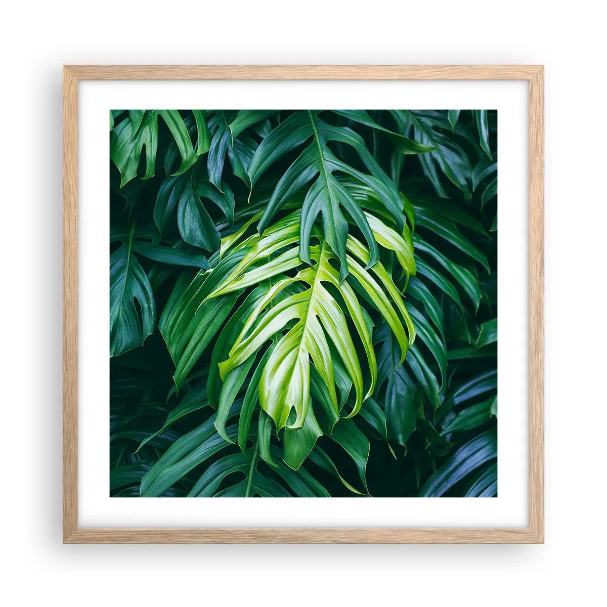 Plakat w ramie jasny dąb - Zanurzyć się w świeżości - 50x50 cm