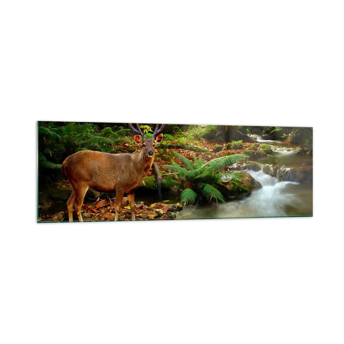 Obraz na szkle - Jeleń przy strumieniu otoczonym zielenią w lesie - 160x50cm - Witam w moim świecie - Nowoczesna dekoracja ścienna do salonu i sypialni ARTTOR