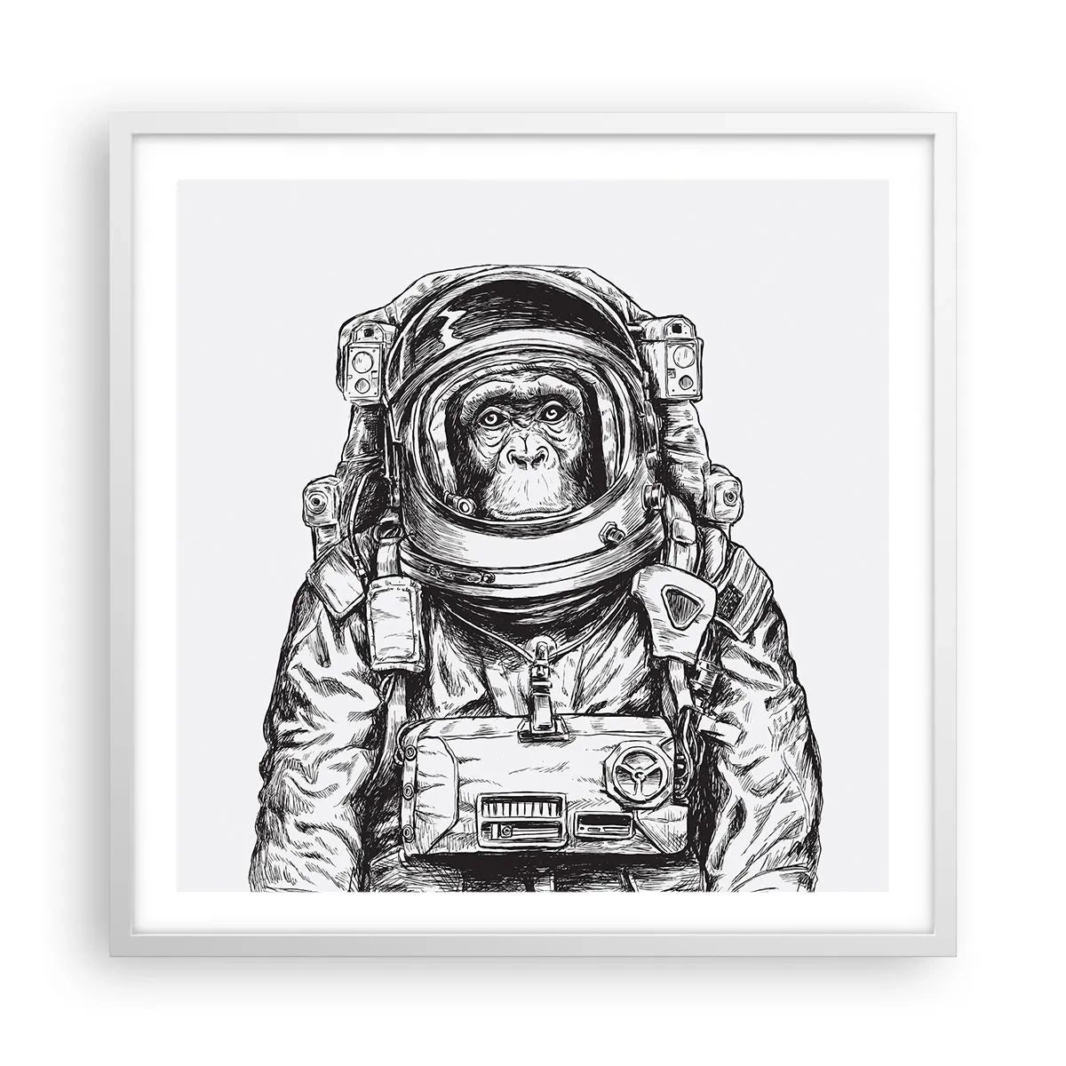 Plakat w białej ramie - Alternatywna ewolucja - 60x60 cm