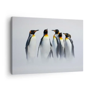 Obraz na płótnie - Grupa pingwinów cesarskich w zimowej mgle - 70x50cm - Spotkanie w wieczorowych strojach - Nowoczesna dekoracja ścienna do salonu i sypialni ARTTOR