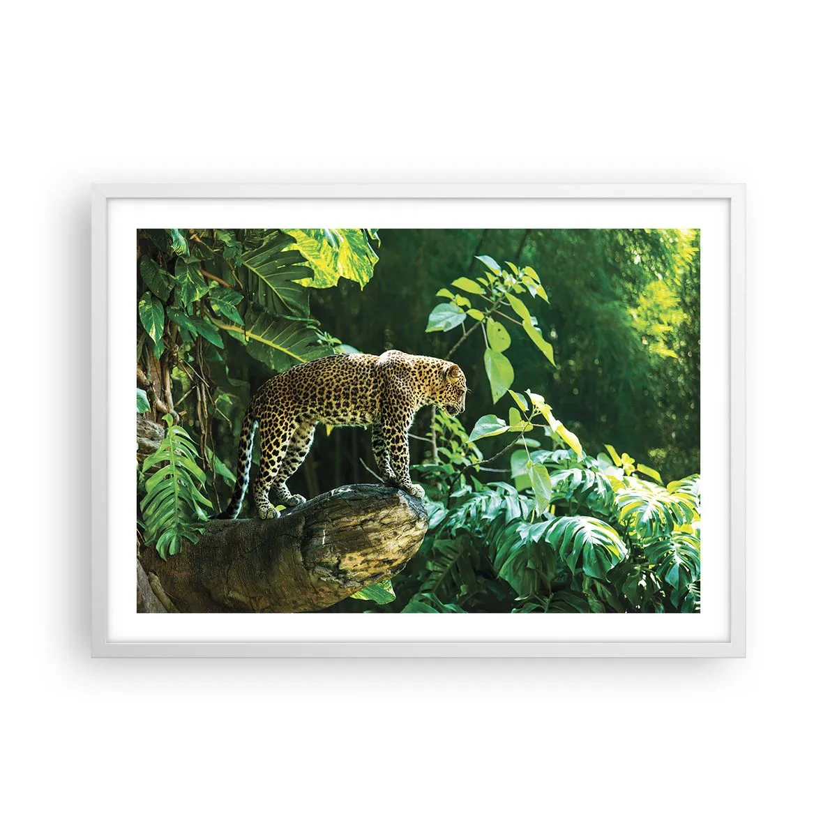 Plakat w białej ramie - Na łowy? - 70x50 cm