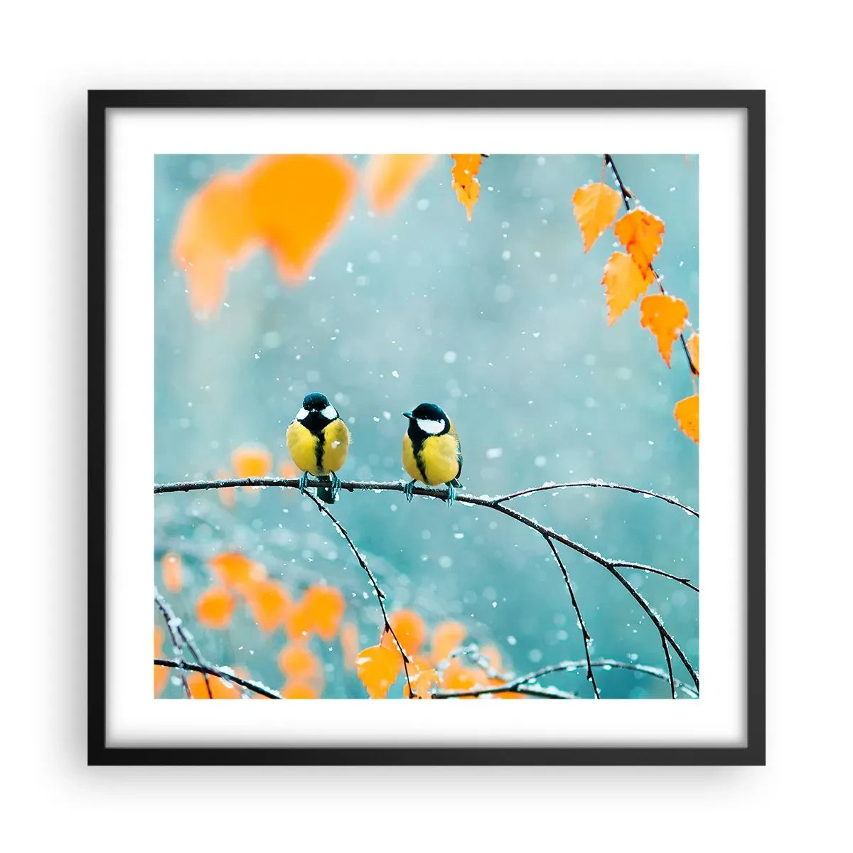 Plakat w czarnej ramie - Ptasie plotki - 50x50 cm