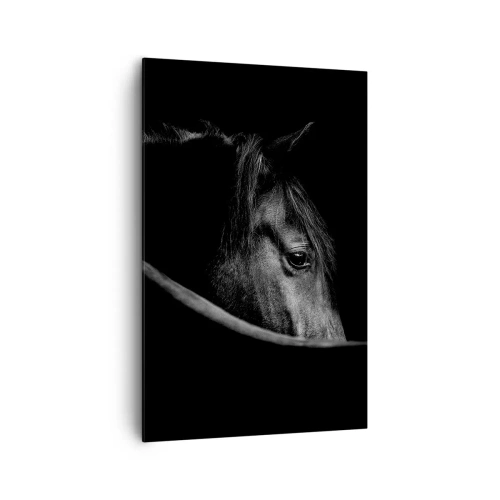 Obraz na płótnie - Czarno-biały portret konia w subtelnej grze światła i cienia na ciemnym tle - 80x120cm - Czarny książę - Nowoczesna dekoracja ścienna do salonu i sypialni ARTTOR