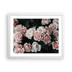 Plakat w białej ramie - Różany ansamble - 50x40 cm