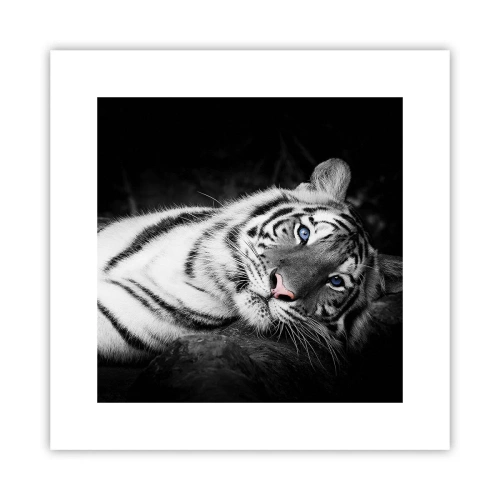 Plakat - Dzikość i spokój - 30x30 cm