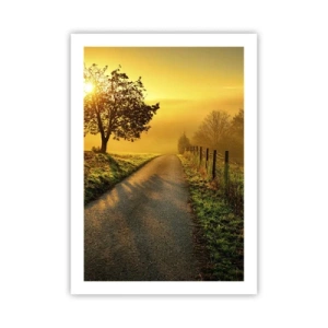 Plakat - Droga wśród pól o wschodzie słońca - 50x70cm - Miodne popołudnie - Nowoczesna dekoracja ścienna do salonu, kuchni i sypialni ARTTOR