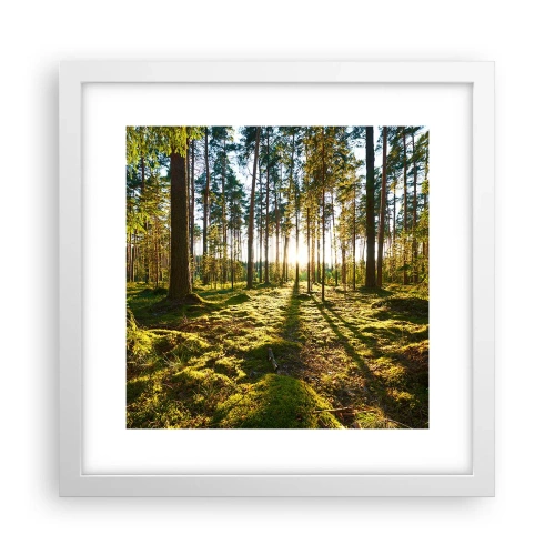 Plakat w białej ramie - …Za siedmioma lasami - 30x30 cm
