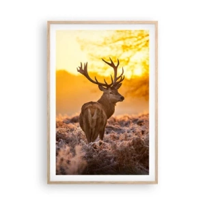 Plakat w ramie jasny dąb - Król jesiennego lasu - 61x91 cm