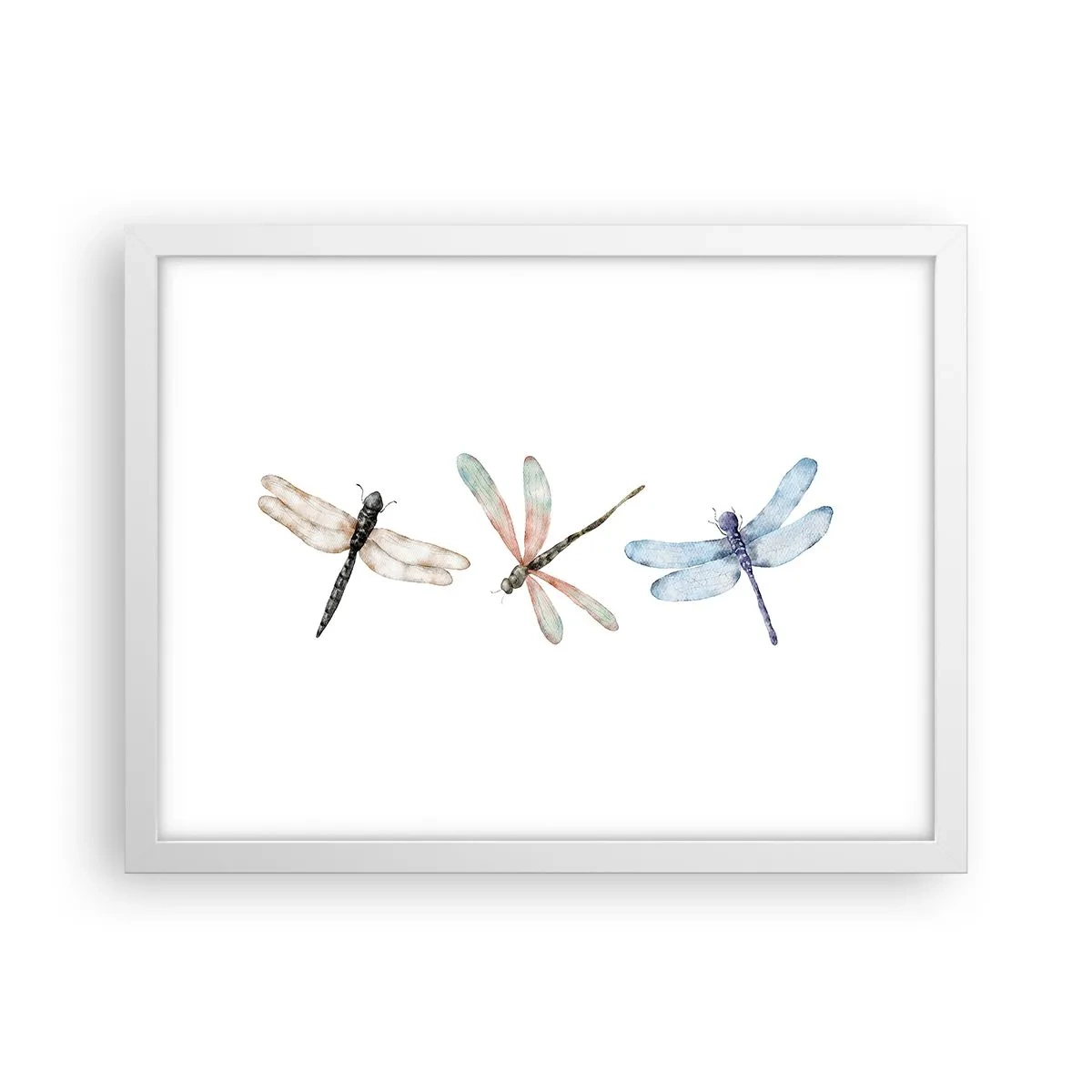 Plakat w białej ramie - Ważki nieważkie - 40x30 cm