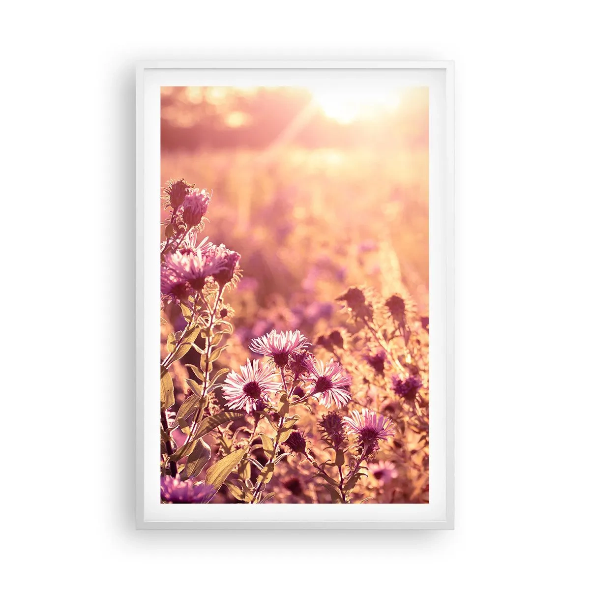 Plakat w białej ramie - Przed odejściem lata - 61x91 cm