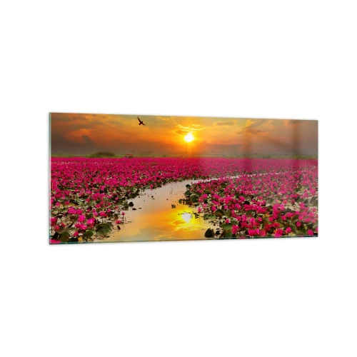 Obraz na szkle - Pole różowych lilii wodnych o zachodzie słońca - 120x50cm - Tajemne życie jeziora - Nowoczesna dekoracja ścienna do salonu i sypialni ARTTOR