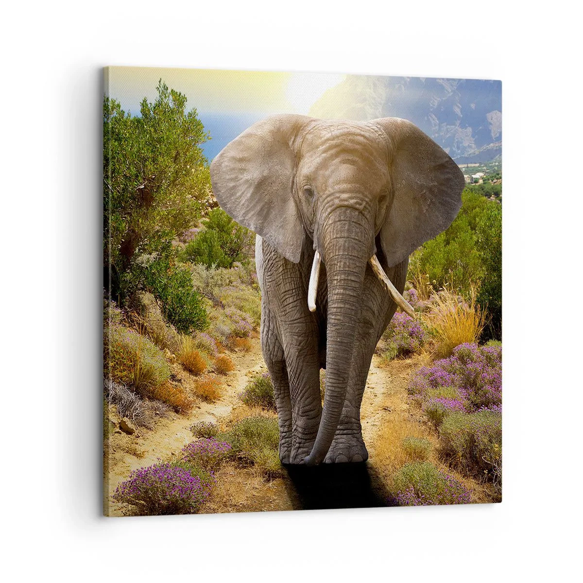 Obraz na płótnie - Tak wyglądał Eden - 60x60 cm