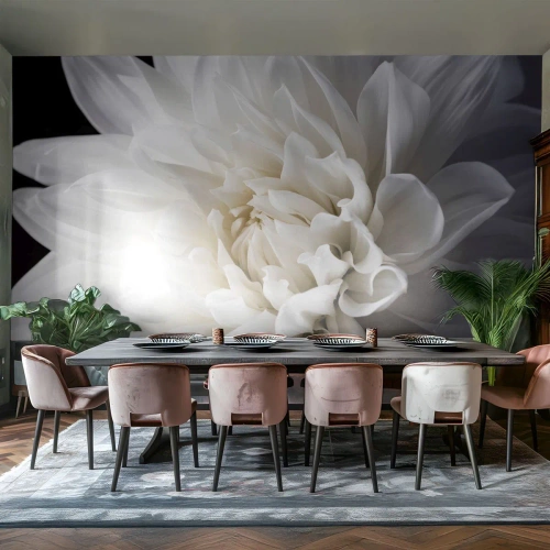 Fototapeta Premium Canvas - Delikatny biały kwiat na czarnym tle w eleganckiej kompozycji - 100x70cm - Poranek Panny Młodej - Nowoczesna dekoracja ścienna do salonu i sypialni ARTTOR