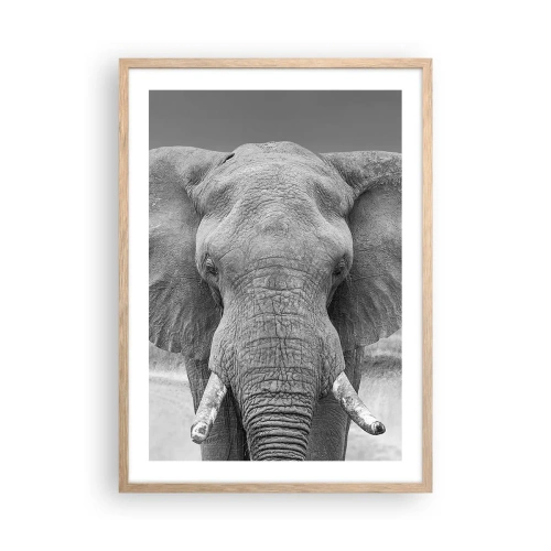 Plakat w ramie jasny dąb - Witaj w moim świecie - 50x70 cm