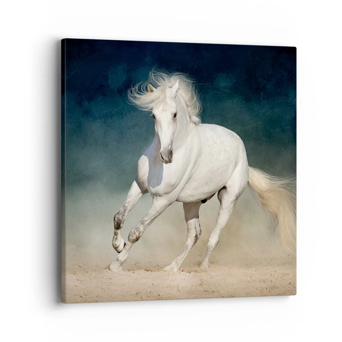 Obraz na płótnie - Wolność w stanie czystym - 40x40 cm