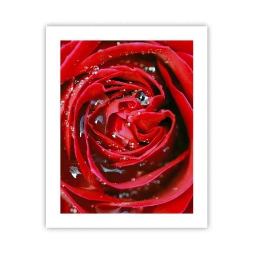 Plakat - W kroplach rosy - 40x50 cm