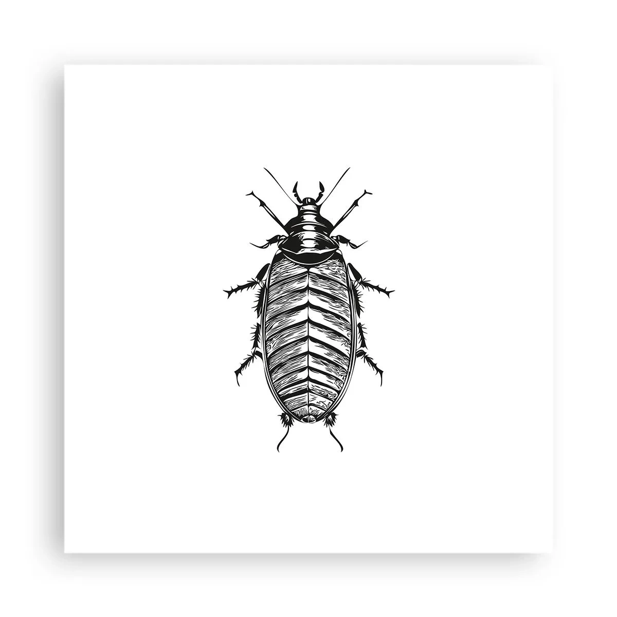 Plakat - Co za okaz! - 40x40 cm