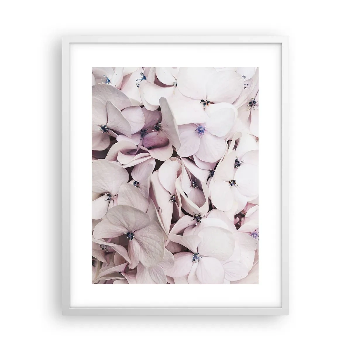 Plakat w białej ramie - W powodzi kwiatów - 40x50 cm