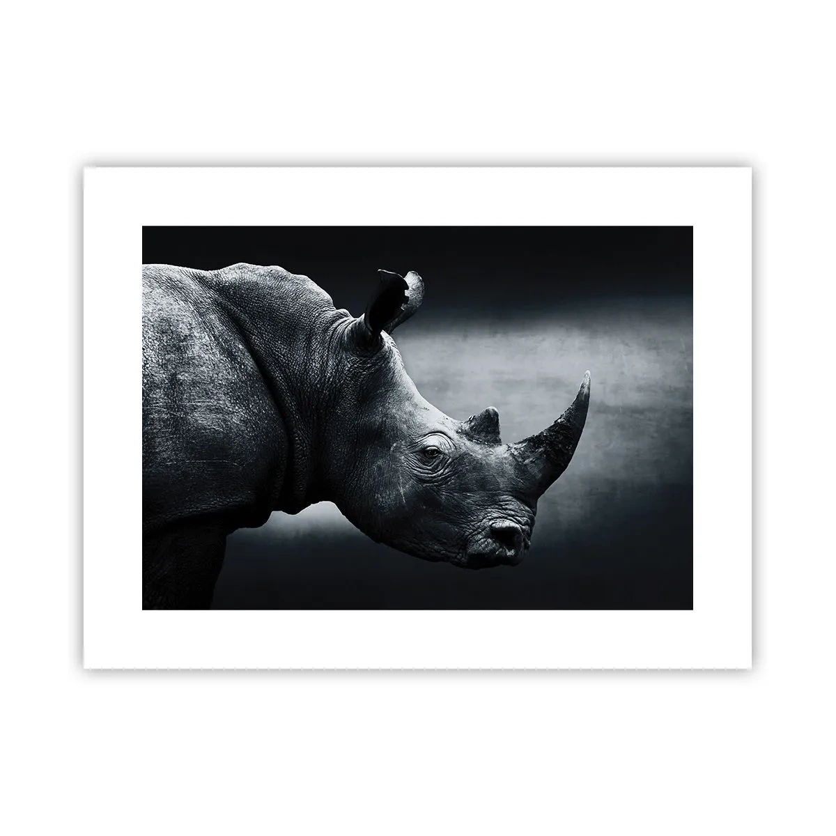 Plakat - Prawy profil - 40x30 cm