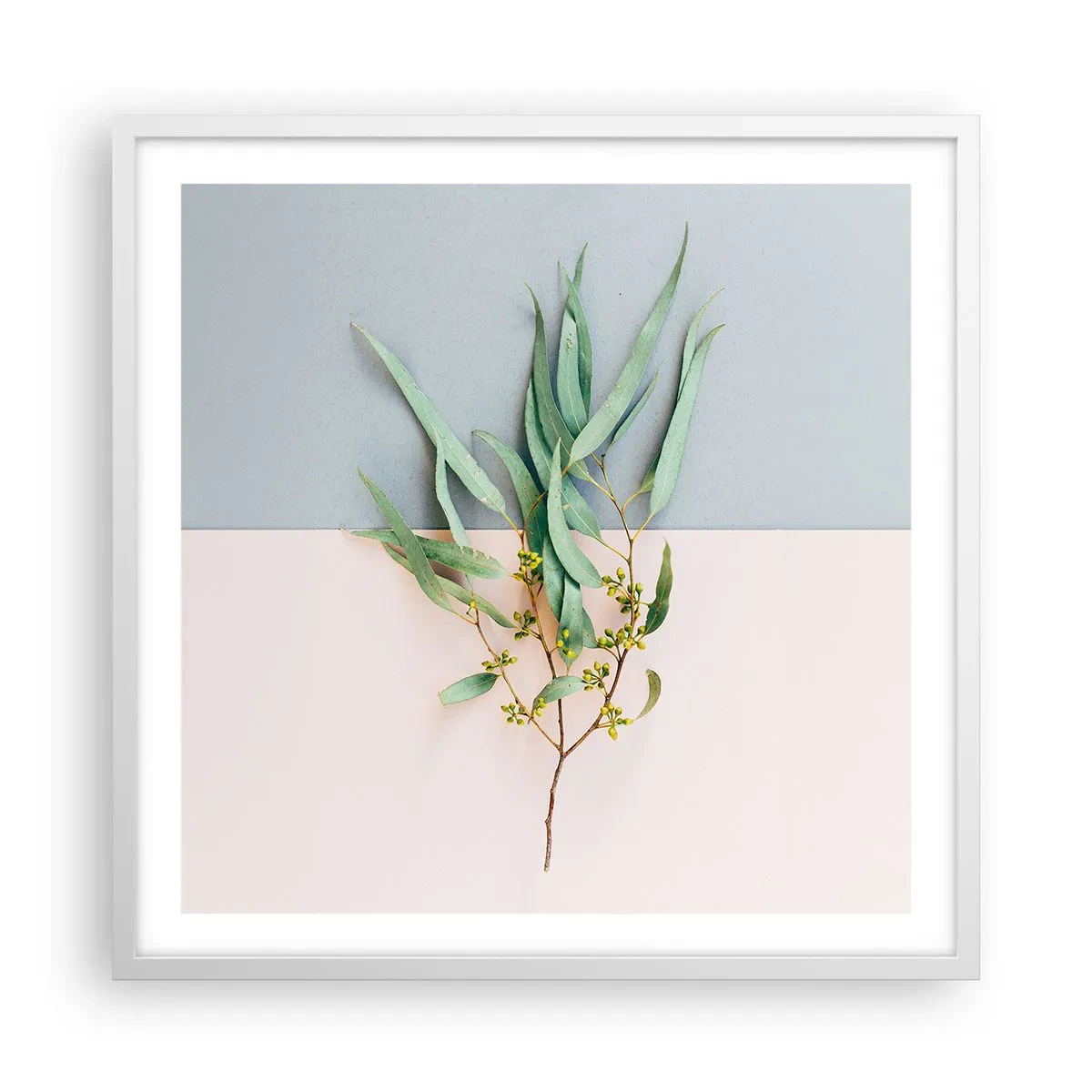 Plakat w białej ramie - Pastelowa subtelność - 60x60 cm