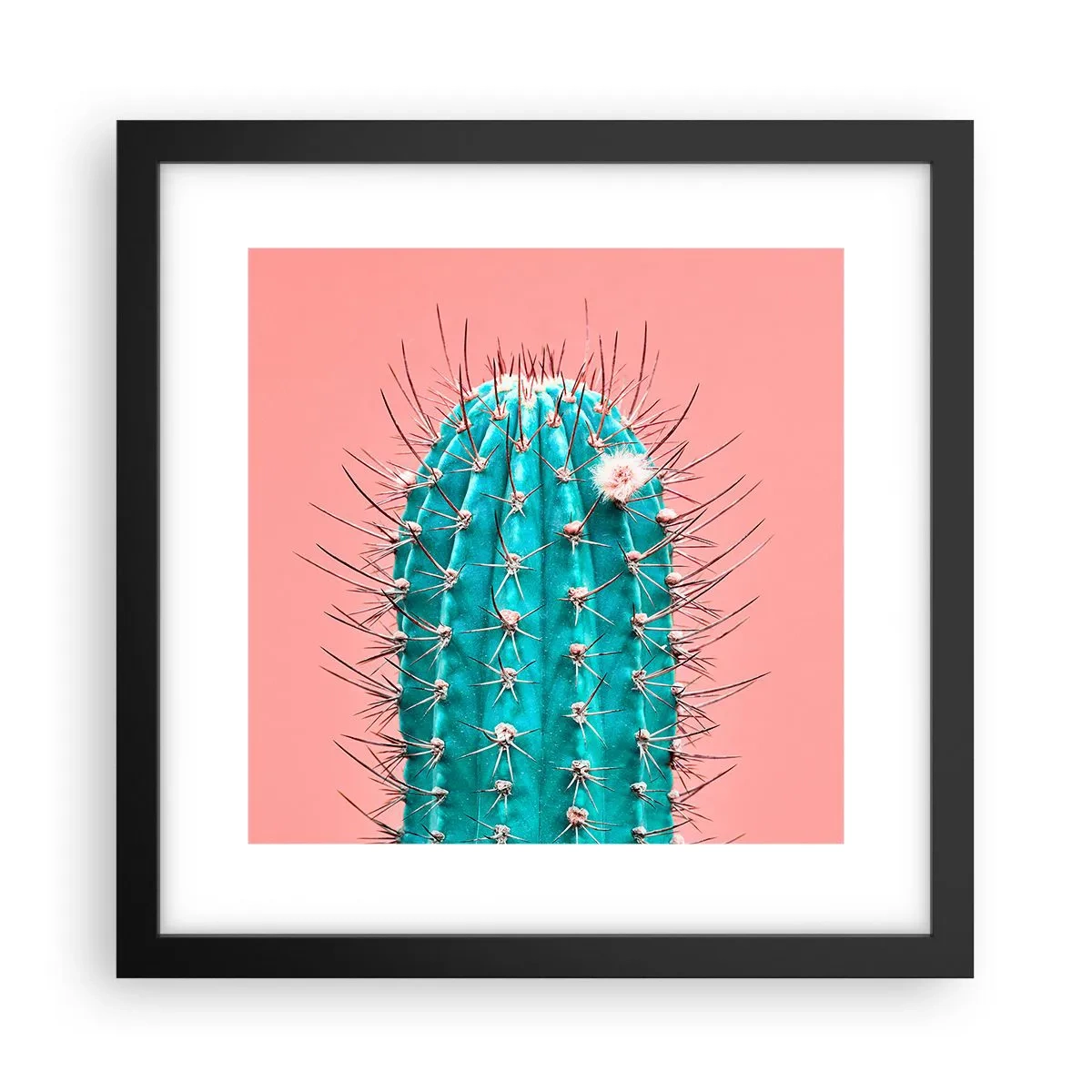 Plakat w czarnej ramie - Tylko patrz - 30x30 cm