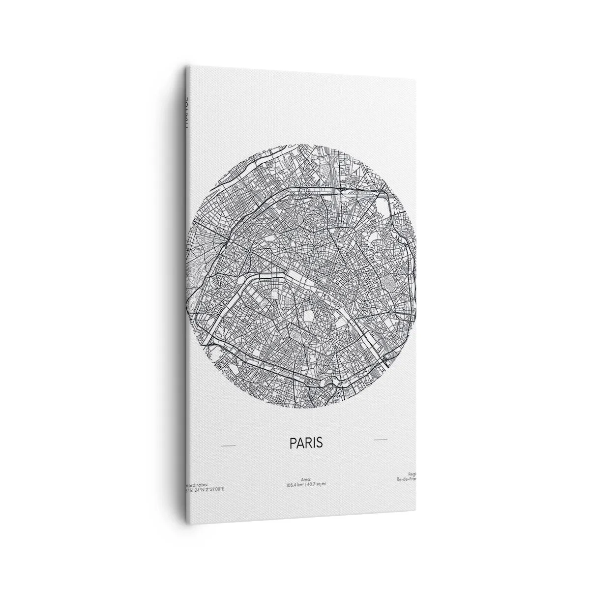 Obraz na płótnie - Anatomia Paryża - 45x80 cm