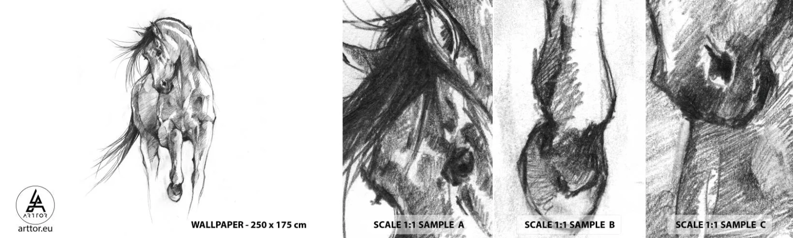 Fototapeta Próbka Standard Eco - We wdzięcznym kłusie - Koń, Grafika, Zwierzęta - 100x30 cm