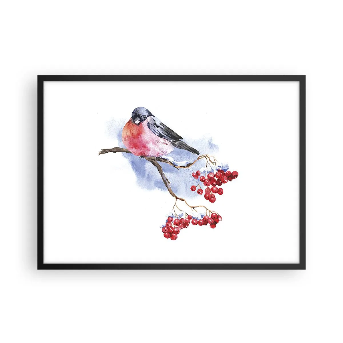 Plakat w czarnej ramie - Ptak na gałęzi z czerwonymi owocami w tle akwareli - 70x50cm - Zima w kolorze - Nowoczesna dekoracja ścienna do salonu i sypialni ARTTOR