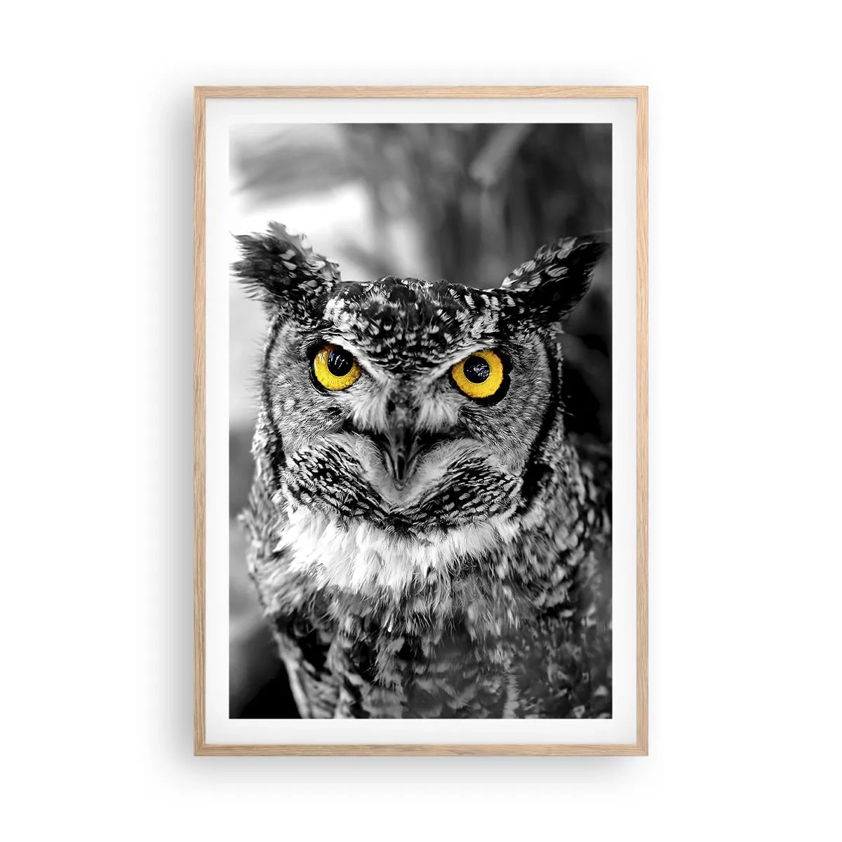 Plakat w ramie jasny dąb - Nic się nie ukryje - 61x91 cm