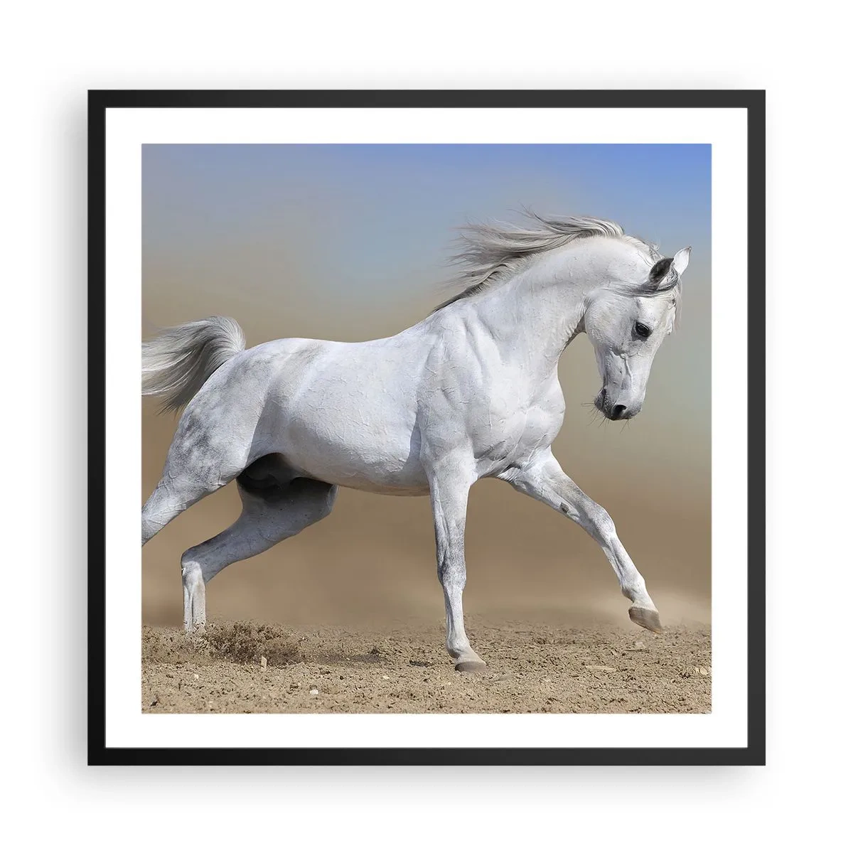 Plakat w czarnej ramie - Najpiękniejsza arabska baśń - 60x60 cm