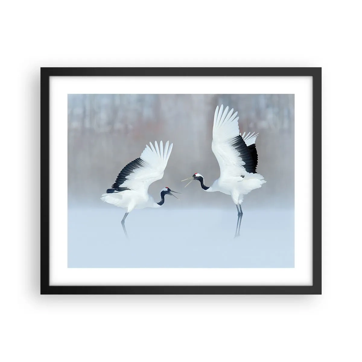 Plakat w czarnej ramie - Taniec we mgle - 50x40 cm