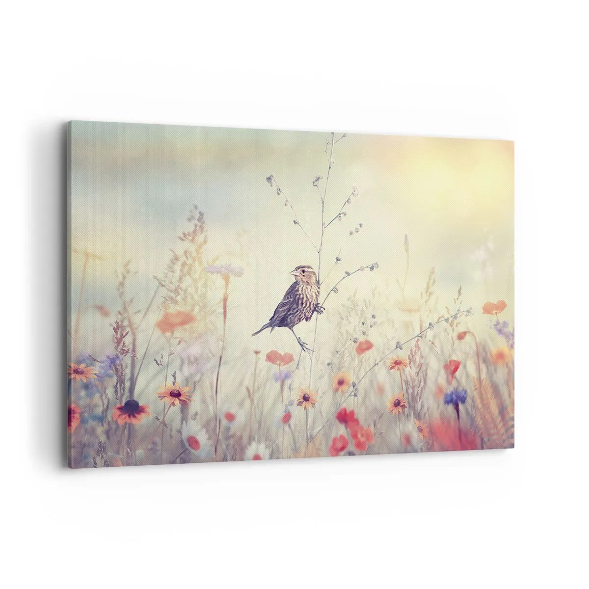 Obraz na płótnie - Ptak na tle kolorowej łąki w pastelowych barwach - 100x70cm - Ptasi portret z łąką w tle - Nowoczesna dekoracja ścienna do salonu, kuchni i sypialni ARTTOR