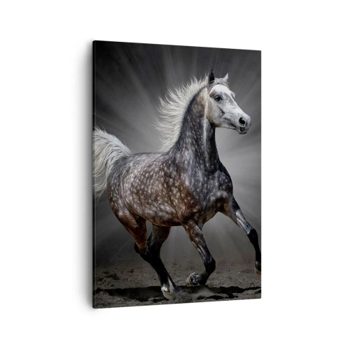 Obraz na płótnie - Dynamiczny koń na tle szarości i promieni światła - 50x70cm - Szare jest piękne - Nowoczesna dekoracja ścienna do salonu, kuchni i sypialni ARTTOR