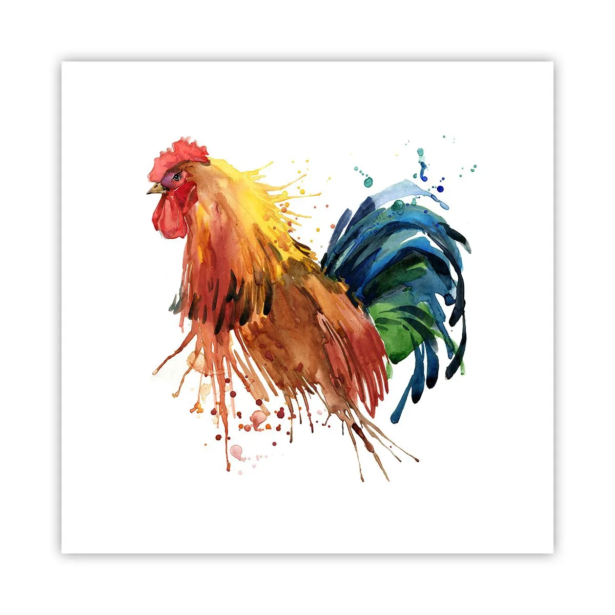 Plakat - Królewska szata, królewska duma - 50x50 cm