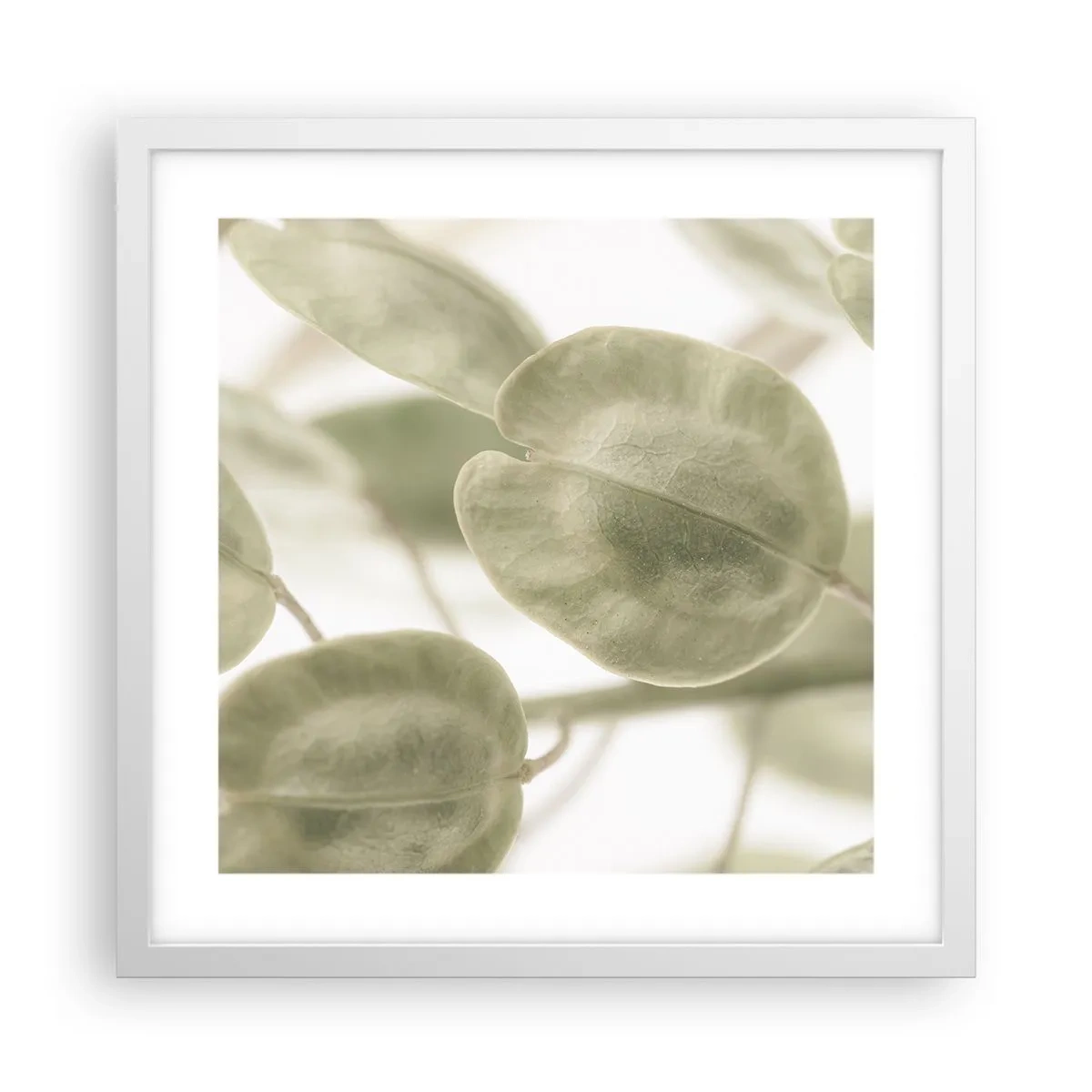 Plakat w białej ramie - Na początku były listki… - 40x40 cm