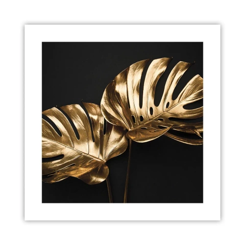 Plakat - Skarby natury - 40x40 cm