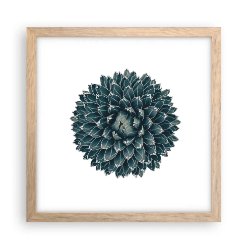 Plakat w ramie jasny dąb - Gwiazda pustyni - 30x30 cm