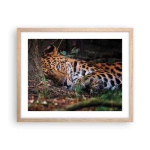 Plakat w ramie jasny dąb - Zaufaj mi - 50x40 cm