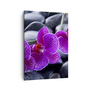 Obraz na płótnie - Fioletowa orchidea na czarnych kamieniach w stylu spa - 50x70cm - Kamienie pojaśniały z zachwytu - Nowoczesna dekoracja ścienna do salonu, kuchni i sypialni ARTTOR