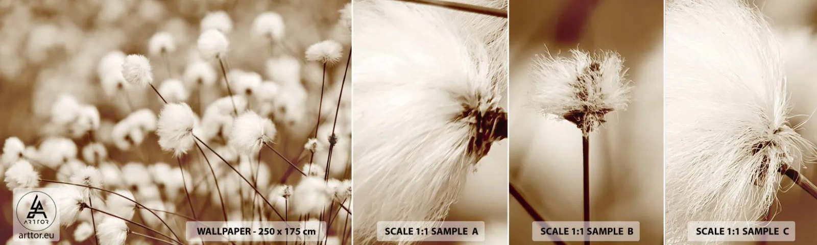 Fototapeta Próbka Samoprzylepna Deluxe Sticker - Puszysty łan - Kwiat Bawełny, Kwiat, Gałązka Bawełny - 100x30 cm