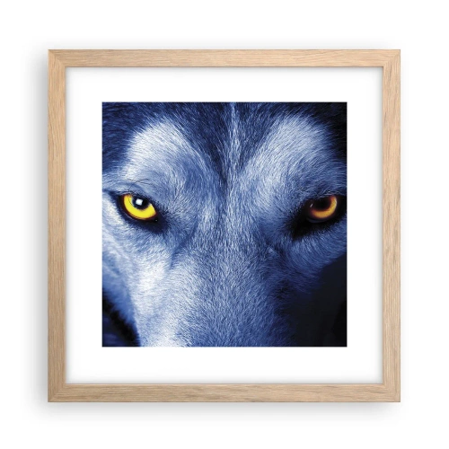 Plakat w ramie jasny dąb - Hipnotyzujące spojrzenie - 30x30 cm