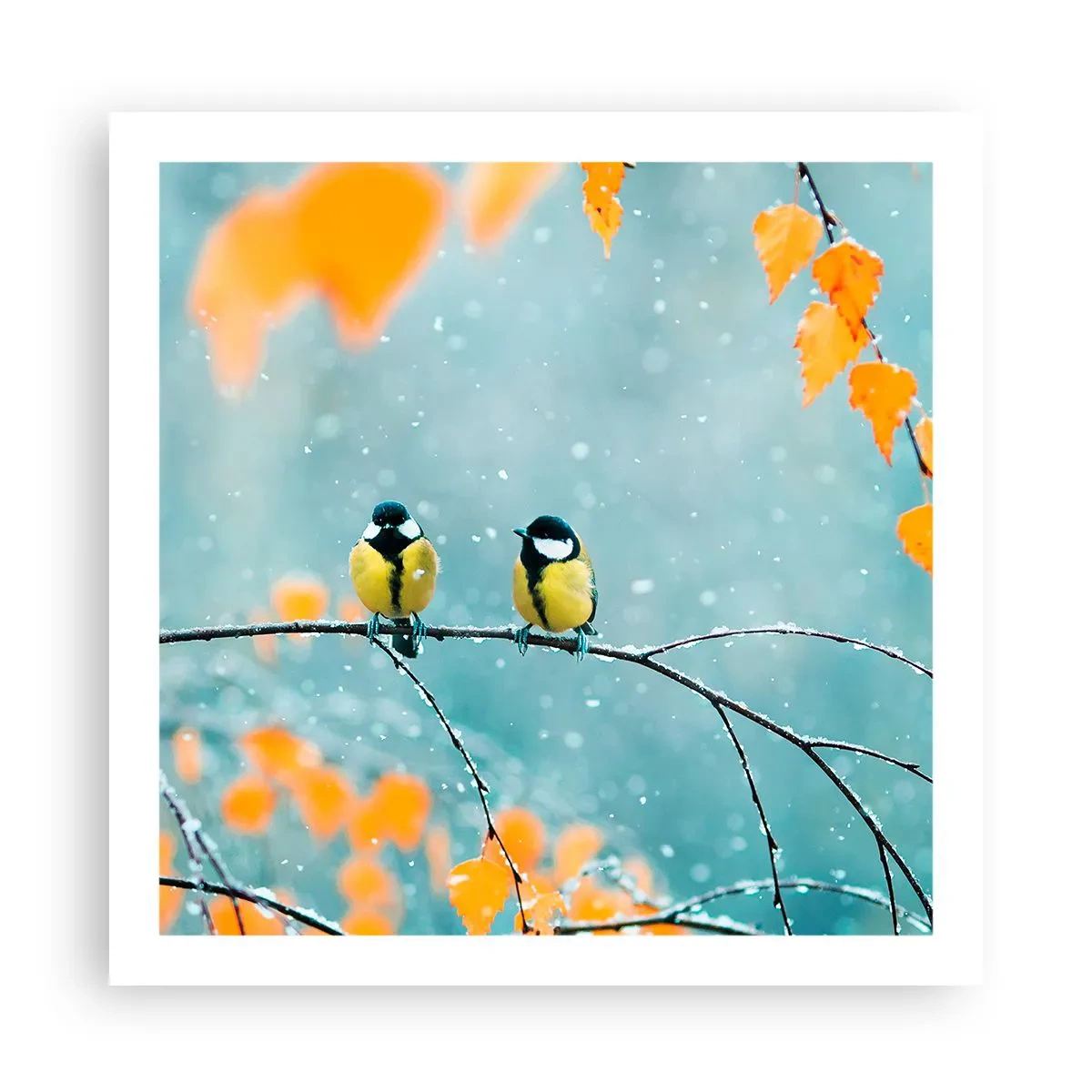 Plakat - Ptasie plotki - 60x60 cm