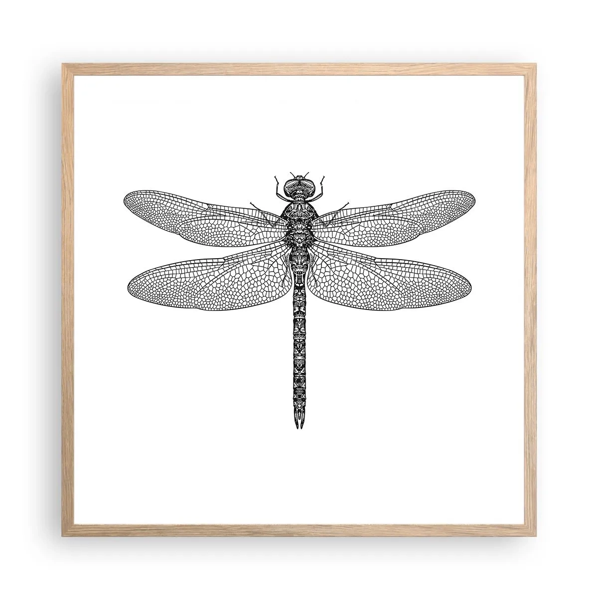 Plakat w ramie jasny dąb - Precyzja natury - 60x60 cm