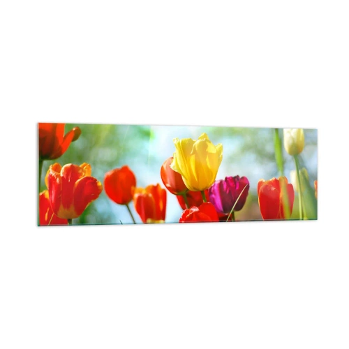 Obraz na szkle - Kolorowe tulipany w promieniach słońca - 160x50cm - Wszystkie barwy słońca - Nowoczesna dekoracja ścienna do salonu i sypialni ARTTOR