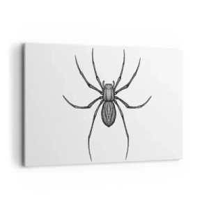 Obraz na płótnie - Detale pająka na białym tle w stylu rysunkowym - 120x80cm - Niepokojąca precyzja - Nowoczesna dekoracja ścienna do salonu, kuchni i sypialni ARTTOR