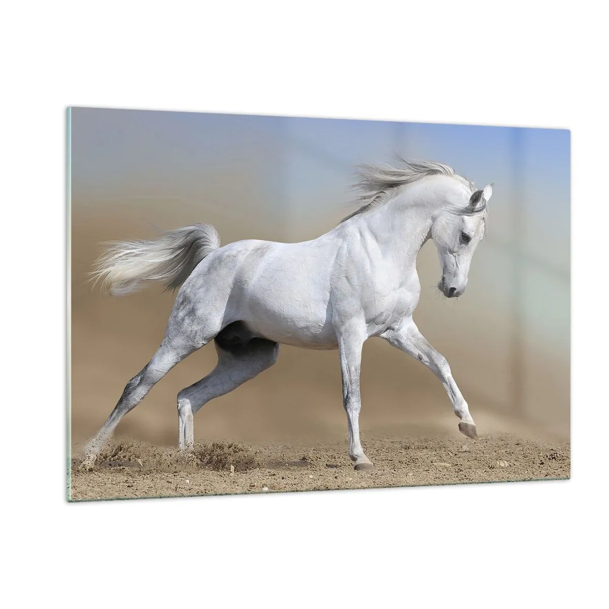 Obraz na szkle - Biały koń galopujący po piaszczystym podłożu - 120x80cm - Najpiękniejsza arabska baśń - Nowoczesna dekoracja ścienna do salonu, kuchni i sypialni ARTTOR