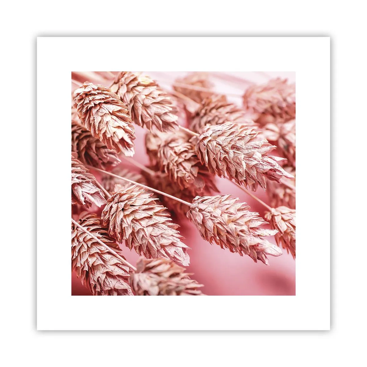 Plakat - Kwietna kaskada w różu - 30x30 cm