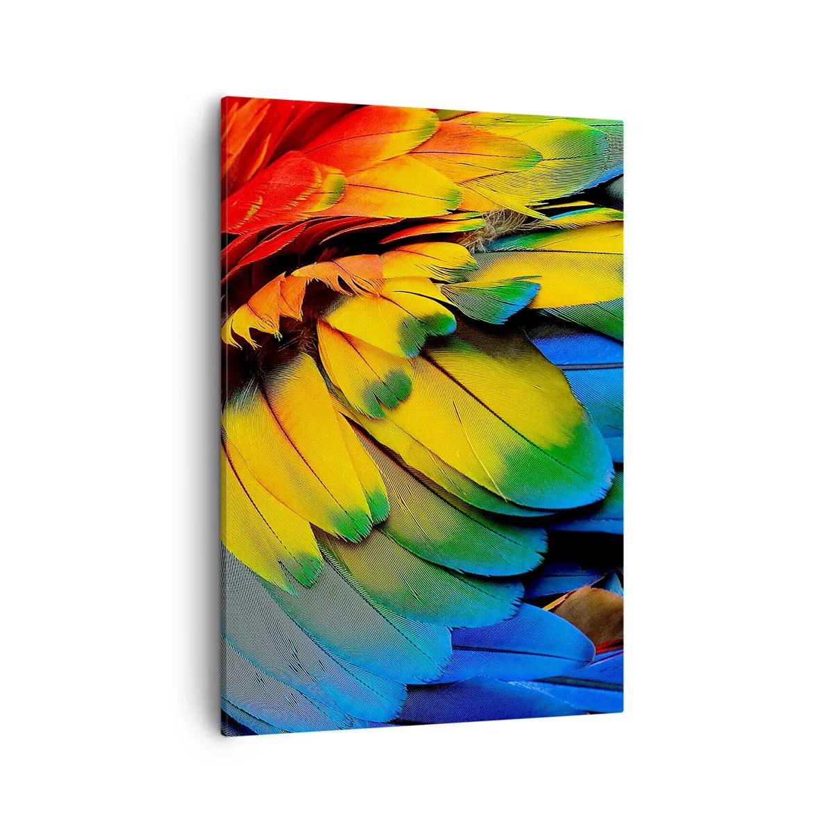 Obraz na płótnie - Kolorowe pióra papugi w intensywnych barwach - 50x70cm - Rajski ptak - Nowoczesna dekoracja ścienna do salonu, kuchni i sypialni ARTTOR