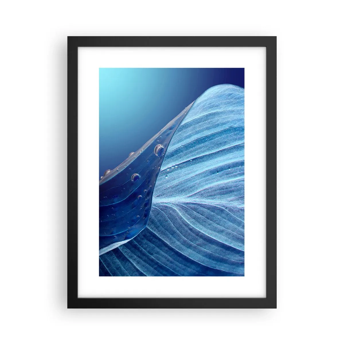 Plakat w czarnej ramie - Ukryte krople błękitu - 30x40 cm