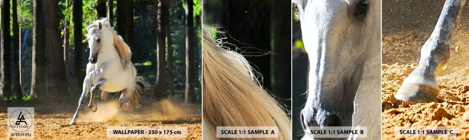 Fototapeta Próbka Standard Eco - Jak z powieści fantasy - Zwierzęta, Koń, Krajobraz - 100x30 cm